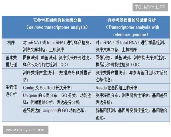 英皇体育网投官网注册流程详解,快速入门新手必看的完整指南 英皇体育网投官网注册流程详解,快速入门新手必看的完整指南